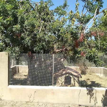 Chilliman & Mas Miro Biofarm Catllar